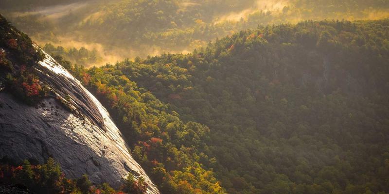 佛山装备制造业集群优势深度解析：以意航为例看本地化供应链如何赋能智造升级